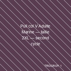 Pull col V Adulte Marine — taille 2XL — second cycle