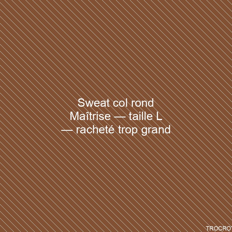 Sweat col rond Maîtrise — taille L — racheté trop grand