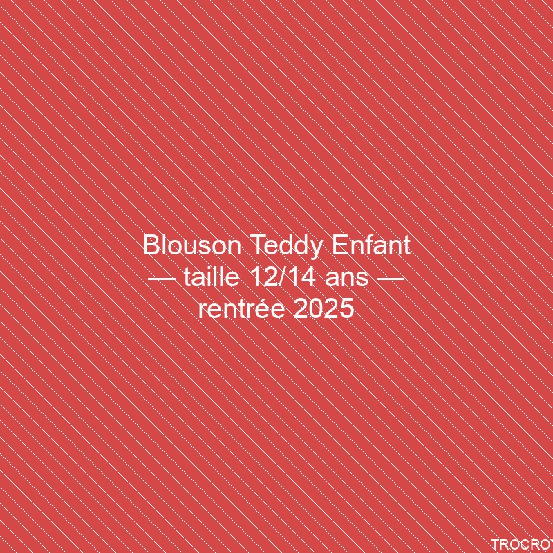Blouson Teddy Enfant — taille 12/14 ans — rentrée 2025