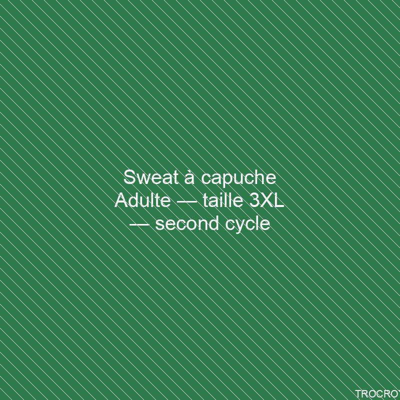 Sweat à capuche Adulte — taille 3XL — second cycle