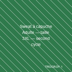 Sweat à capuche Adulte — taille 3XL — second cycle